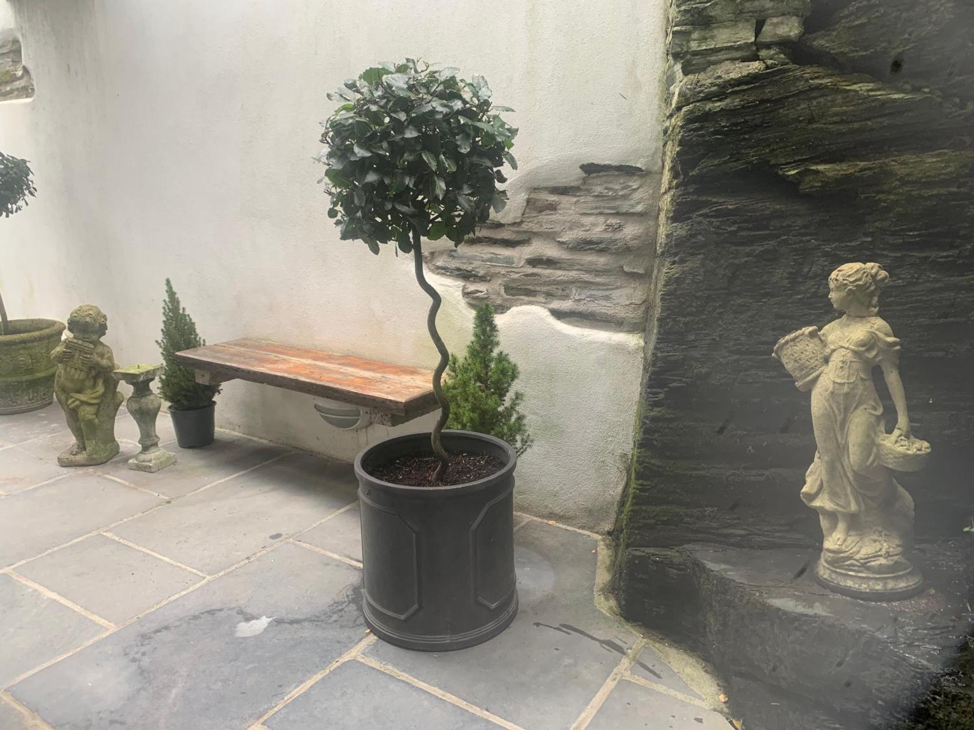 Georgian In Apartment *