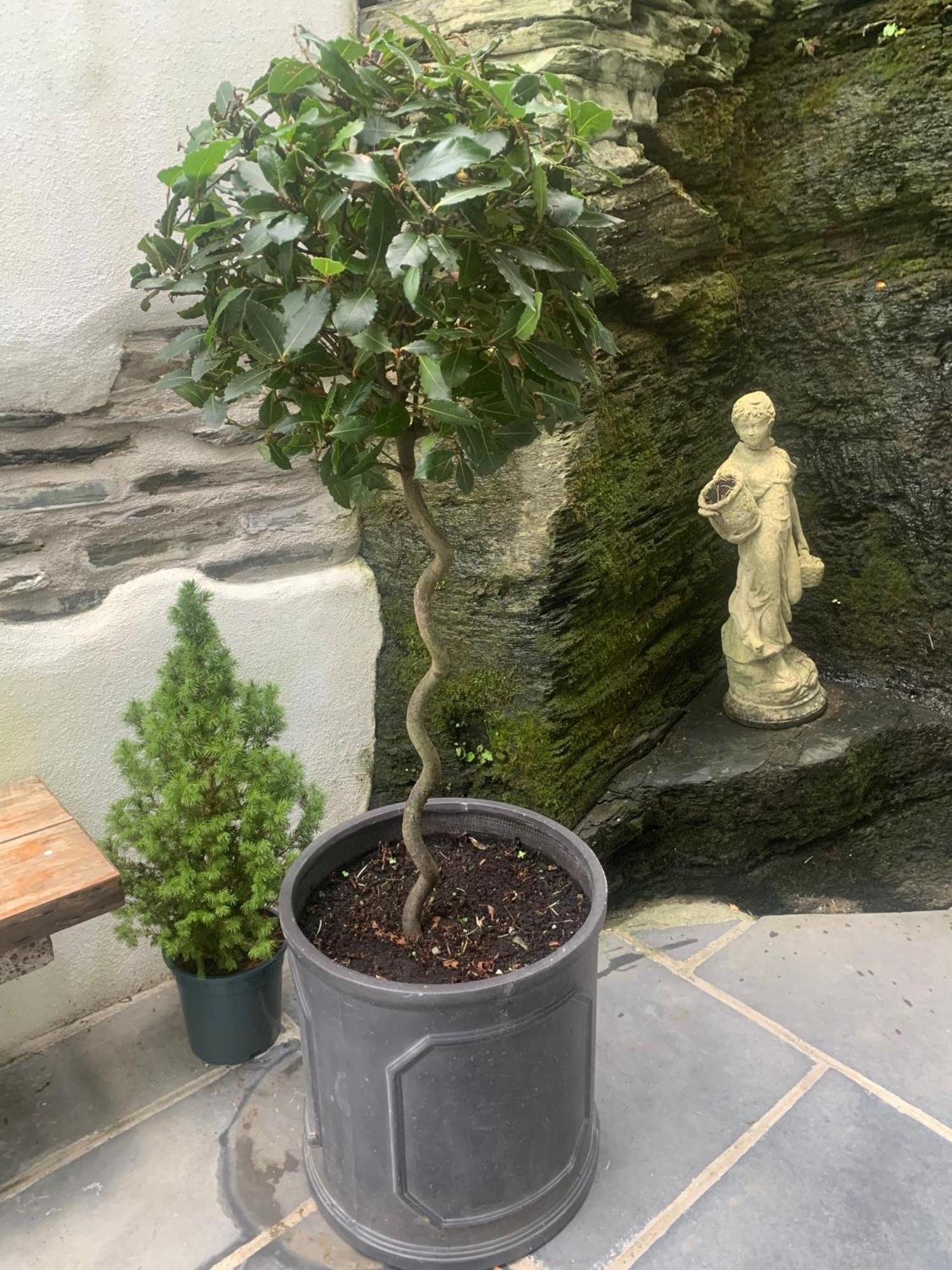 Georgian In * Boscastle